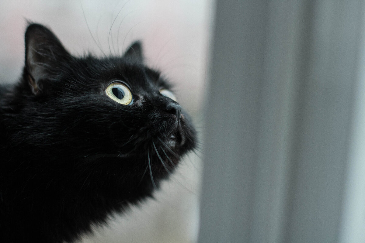 фото из личного архива