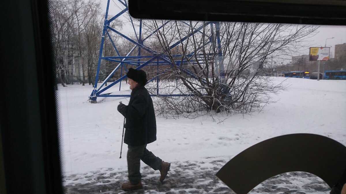 В Ботанический сад. Фото автора