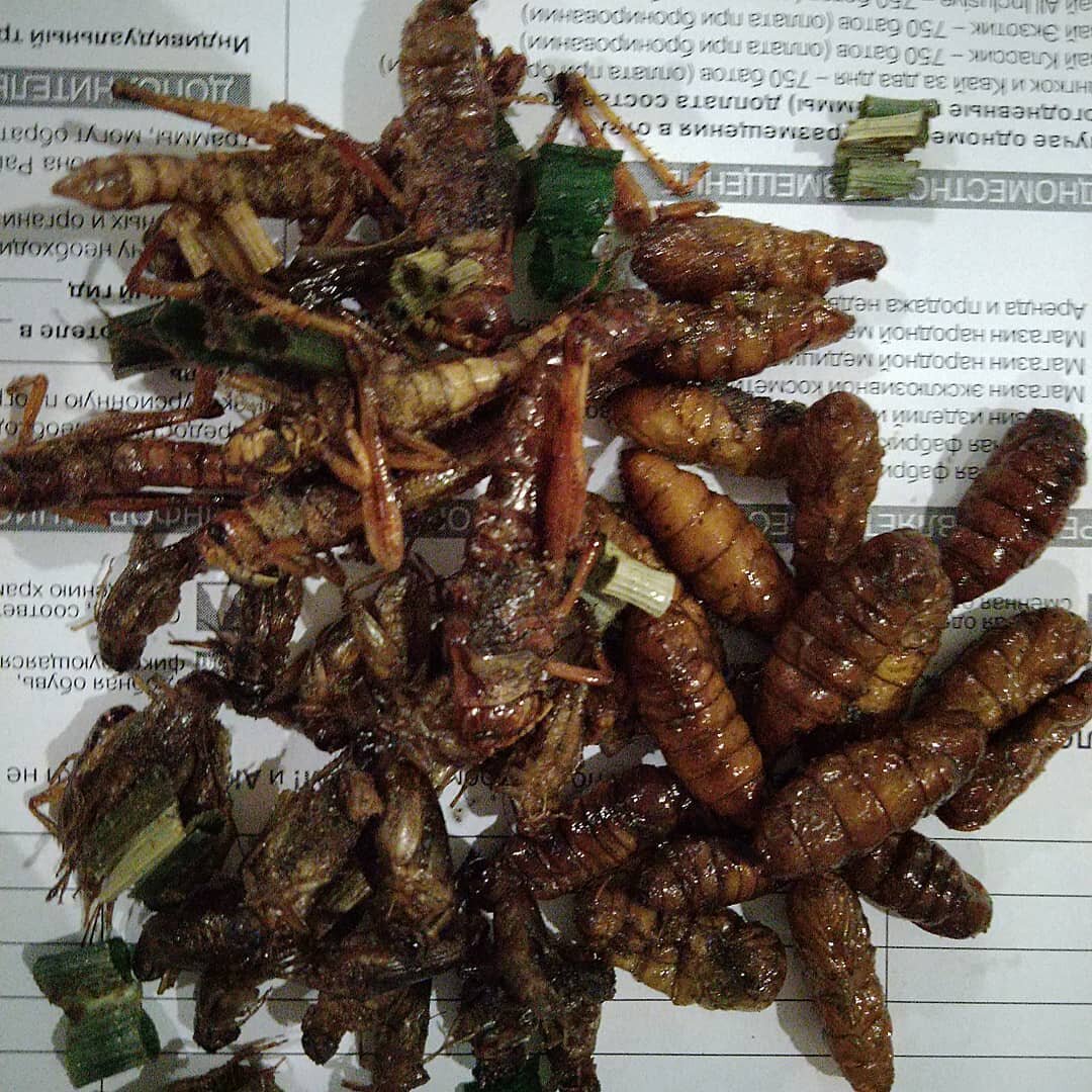 Жаренные насекомые. Действительно ли их едят тайцы? Или это очередной миф. Делюсь нашими наблюдениями
