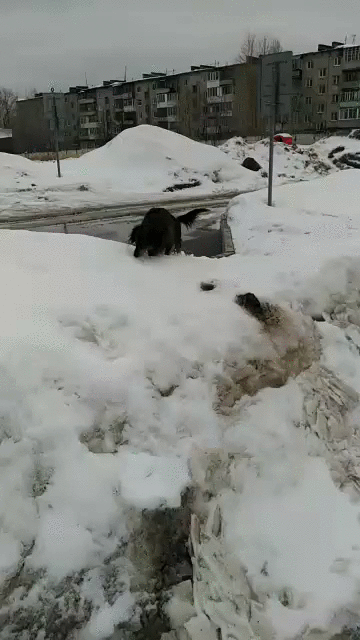 Когда все сделала