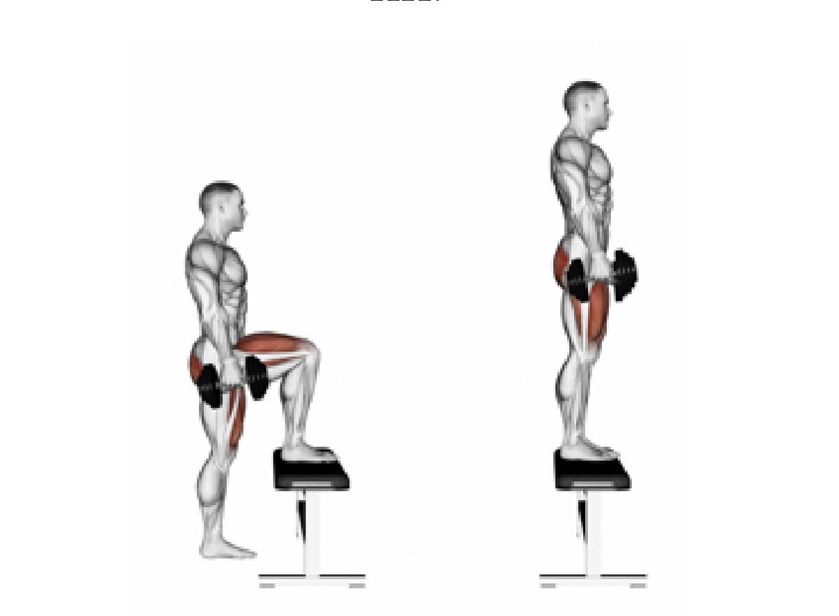 Как прокачивать эхо. Зашагивание на платформу с гантелями. Подъем на скамью с гантелями. Зашагивание на скамью с гантелями. Подъем на скамейку с гантелями.