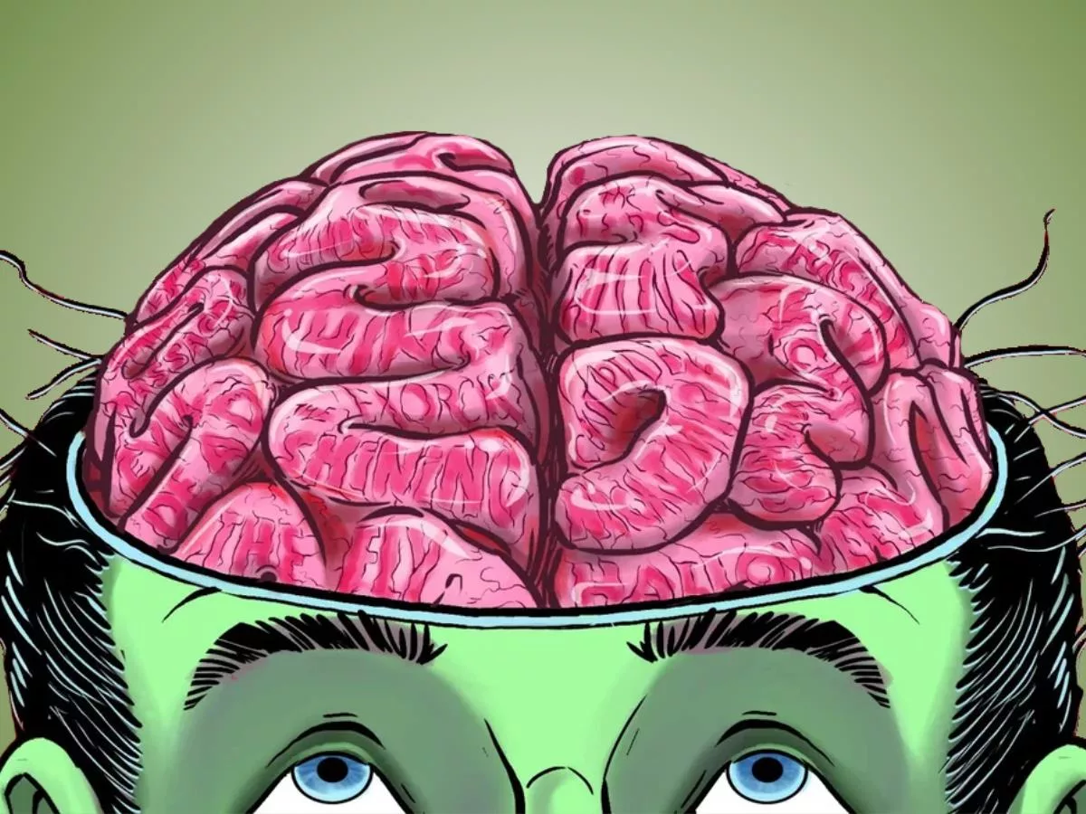 Опасно есть мозги. Мозг иллюстрация. Мозг человека арт. Прикольный головной мозг.
