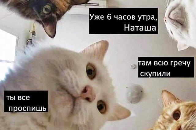 без гречки  никак))