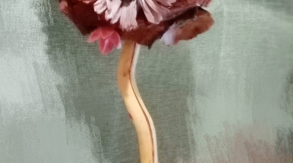 Ароматное дерево