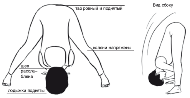 Упражнение таз вперед. Упражнение наклоны вперед назад. Наклоны к полу. Поза наклон вперед. Наклон вперед локти к полу