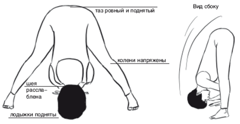 Наклон таза упражнения. Упражнение наклоны вперед назад. Наклоны к полу. Поза наклон вперед. Наклон вперед локти к полу.