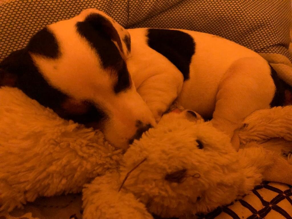 Фото: instagram: just_like_mia