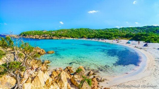 Фото: Balate Dorin / Shutterstock