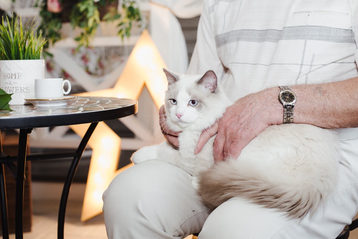  Кошки славятся тем, что пытаются лечить людей..