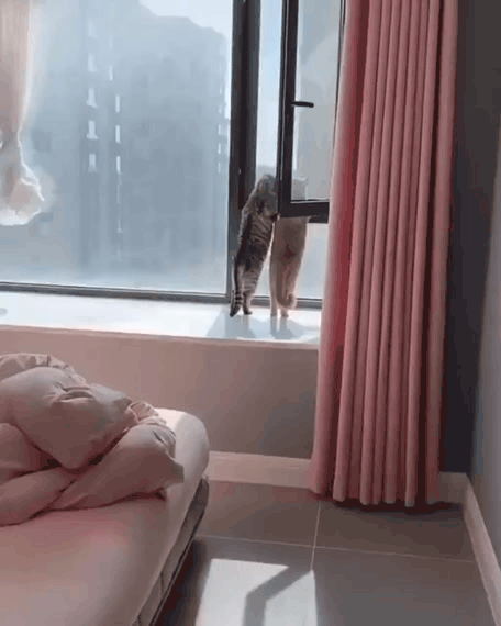 Нажми на картинку, чтобы посмотреть видео. Источник: Ютуб.