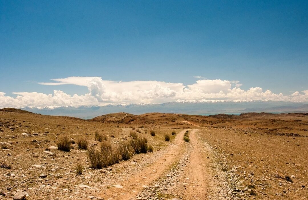 Взято из Яндекс. Картинок 