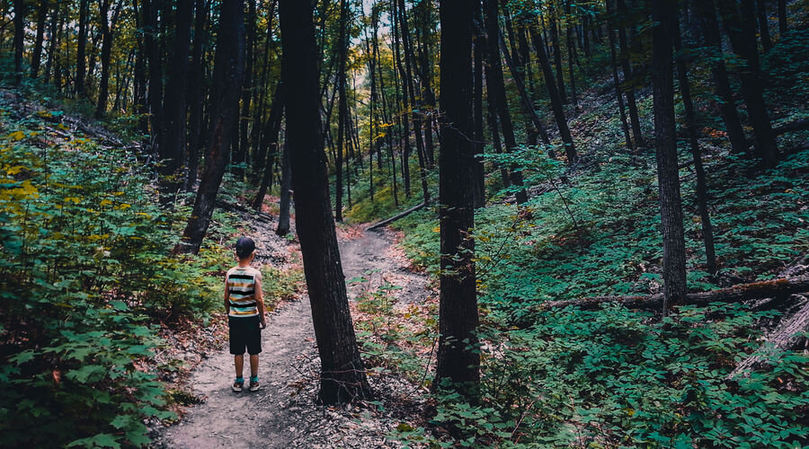 поиск пропавших людей