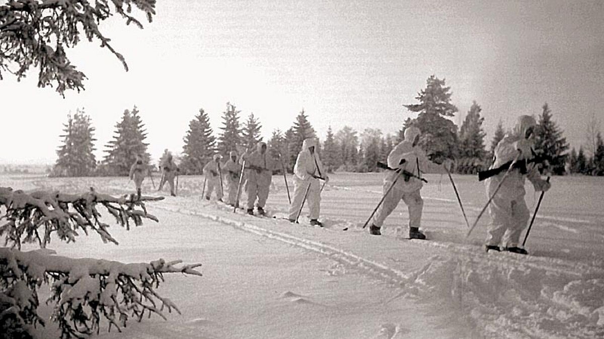 фотография взята из поиска Яндекс