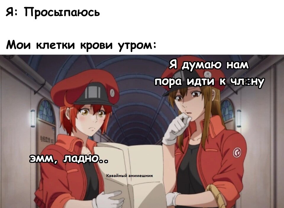 Каждое утро одно и то же