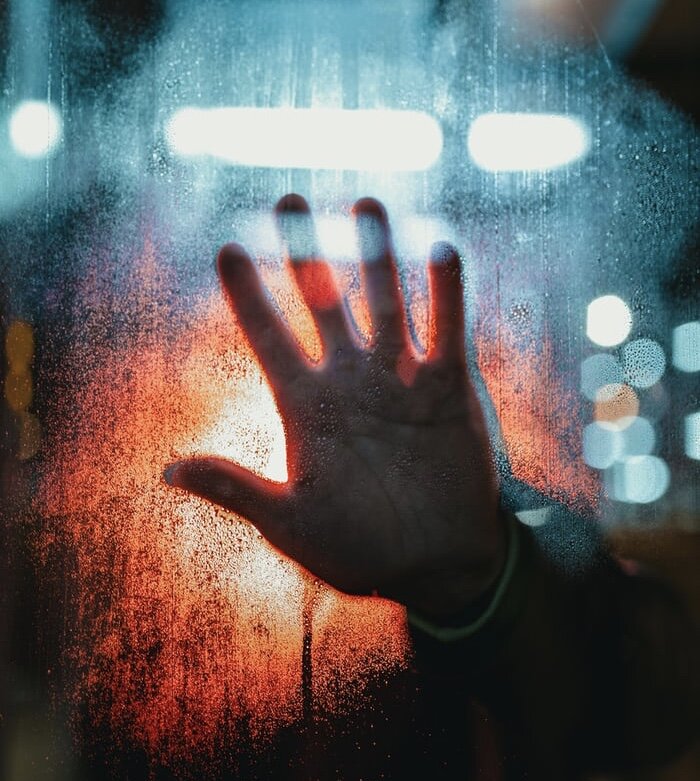 Фото из открытых источников (https://unsplash.com)