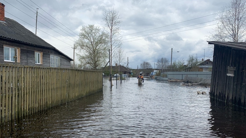  Фото: мчс по вологодской области