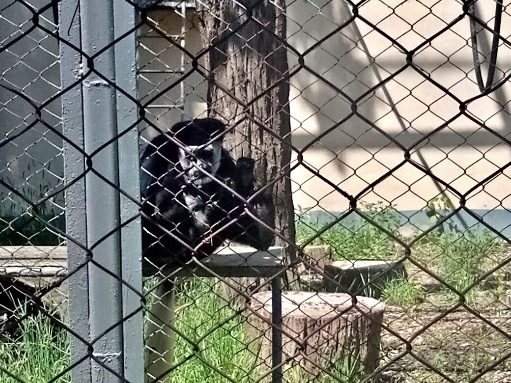 Зоопарк в Ростове-на-Дону