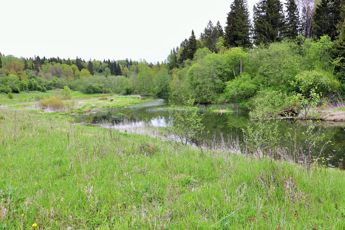 Вид на реку Протва с деревни Золотьково, Наро-Фоминского района, Московской области.