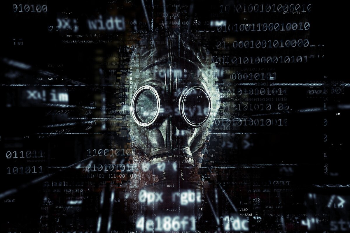 Источник: https://pixabay.com
