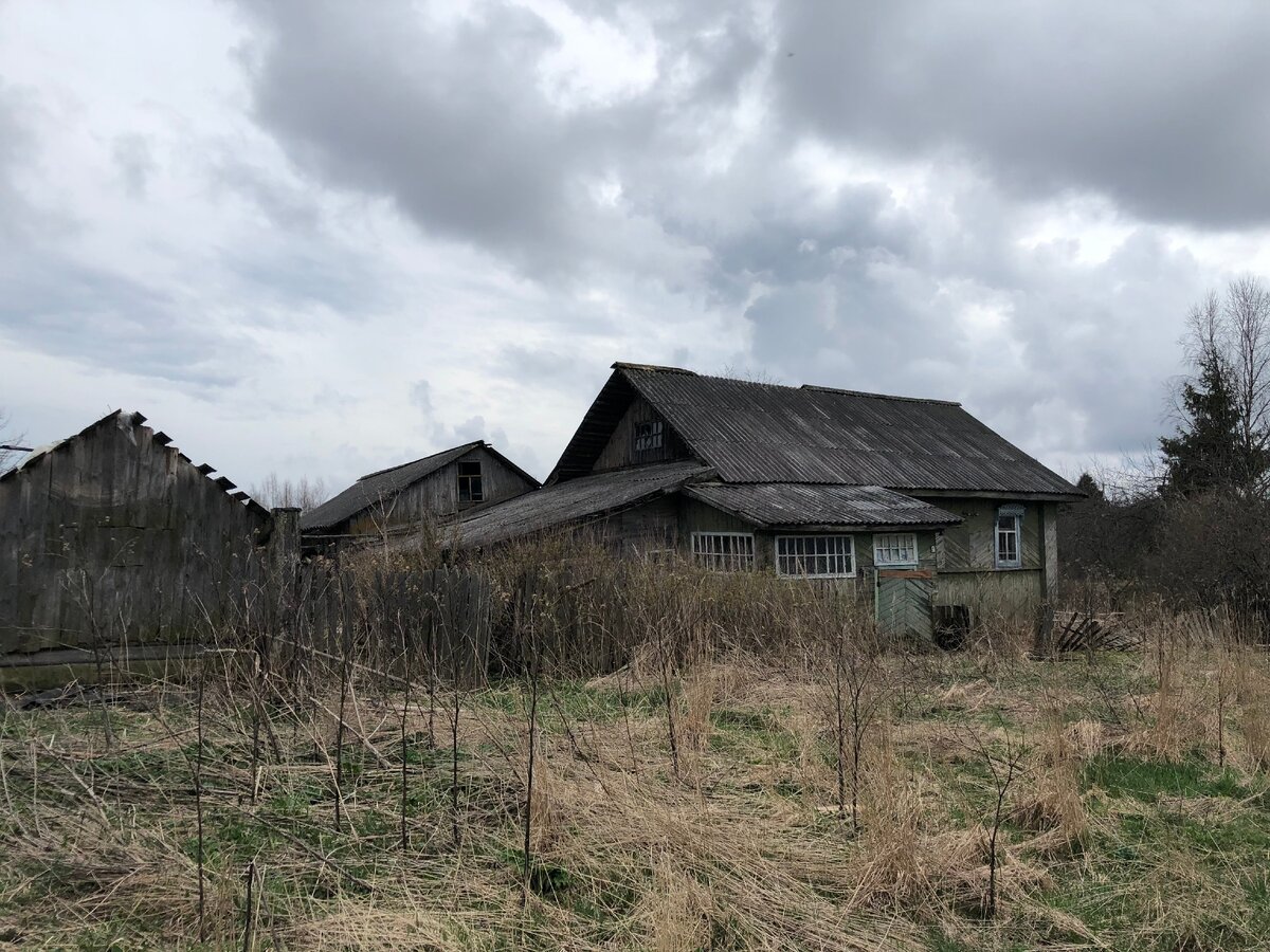 Заброшенный дом, в котором много лет жила бабушка одна на всю деревню.  Прошло 3 года, а в доме уже разгром... | Тверская - вот она какая | Дзен