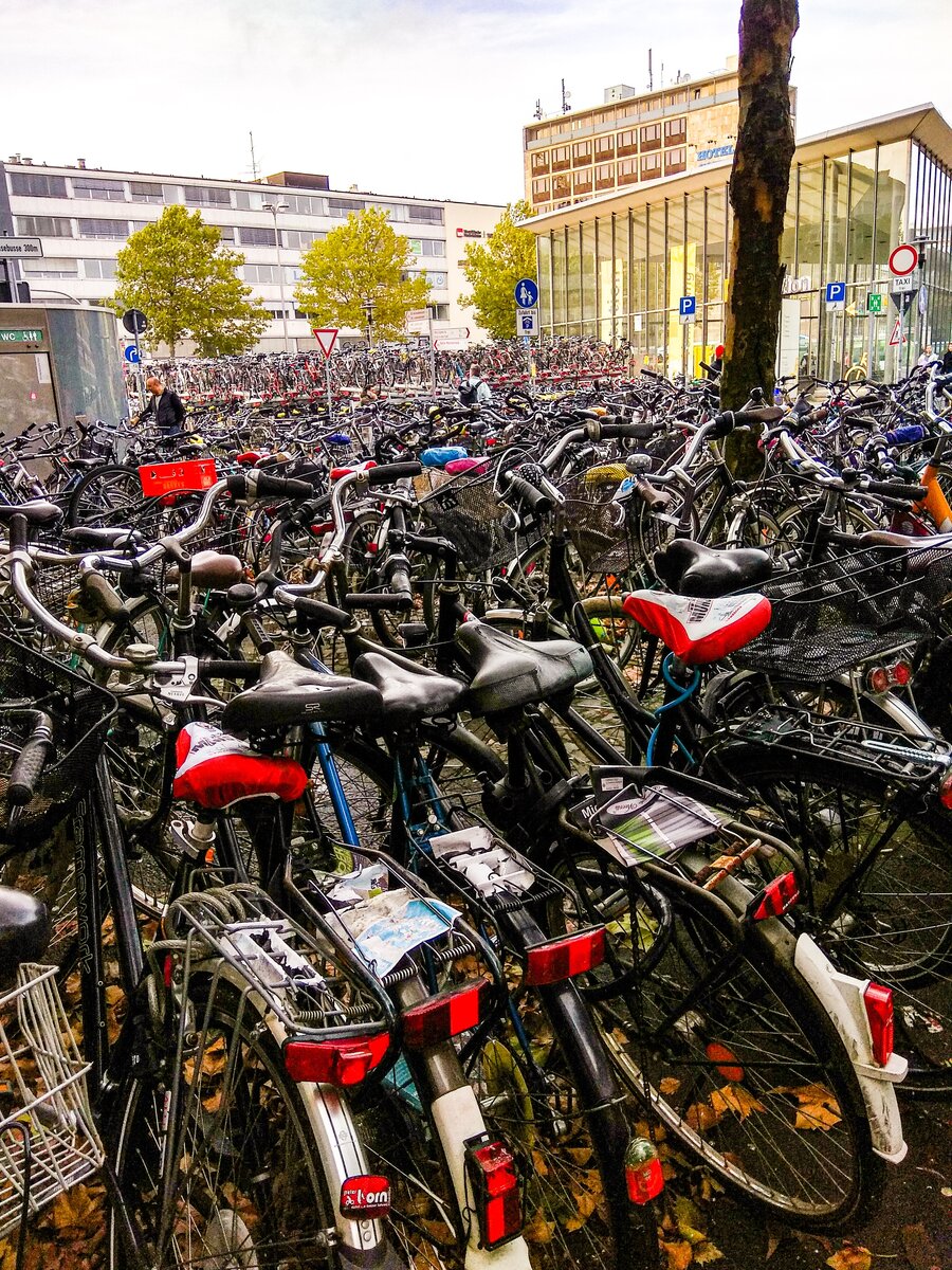 Велосипедный райский ад