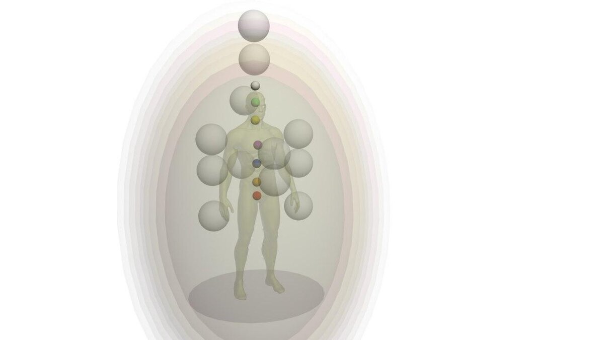 9 организм. Девять тонких тел. Существа не имеющие физического тела. 9 Тел человека. Коновалов тонкое тело фото.