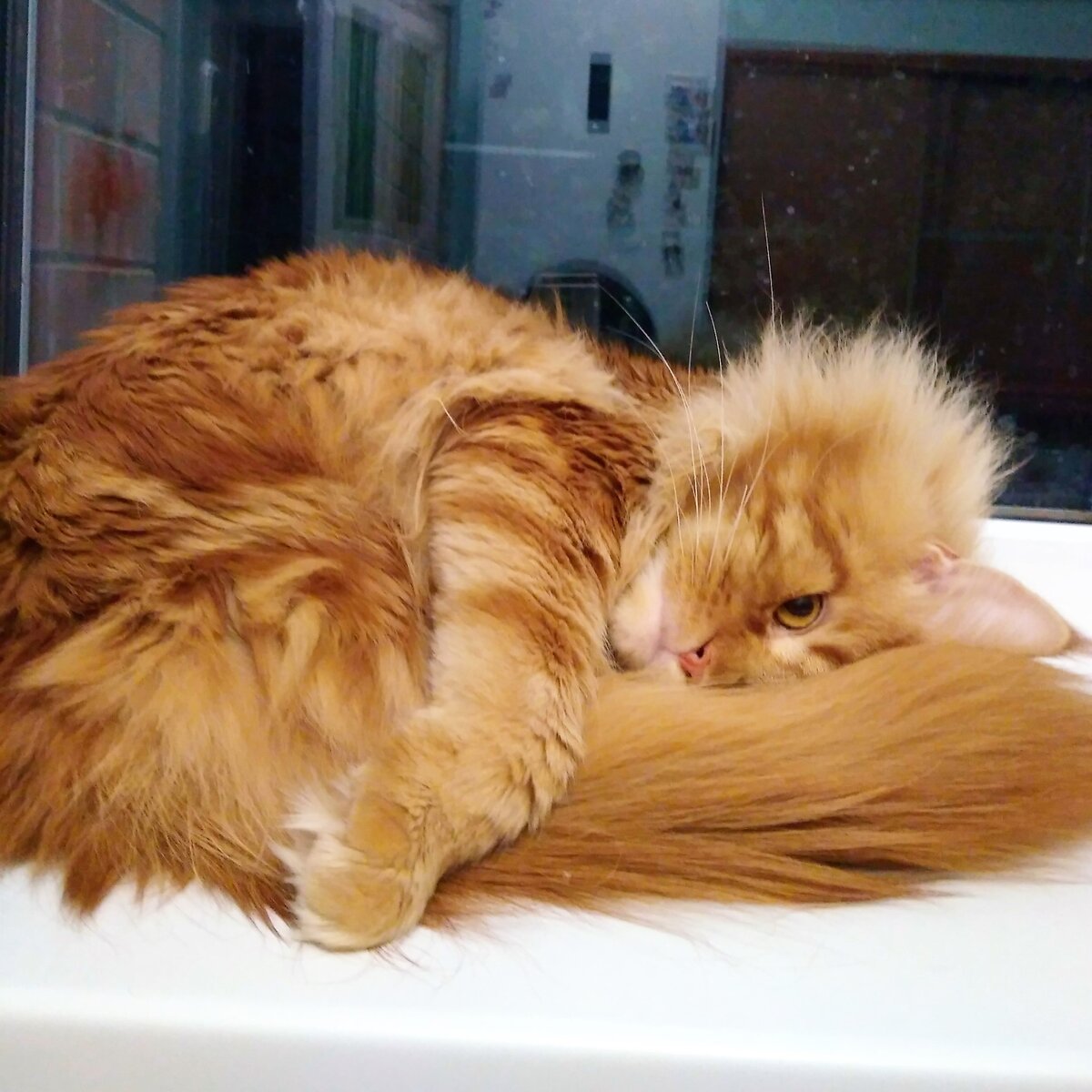 У любопытных от природы око не дремлет