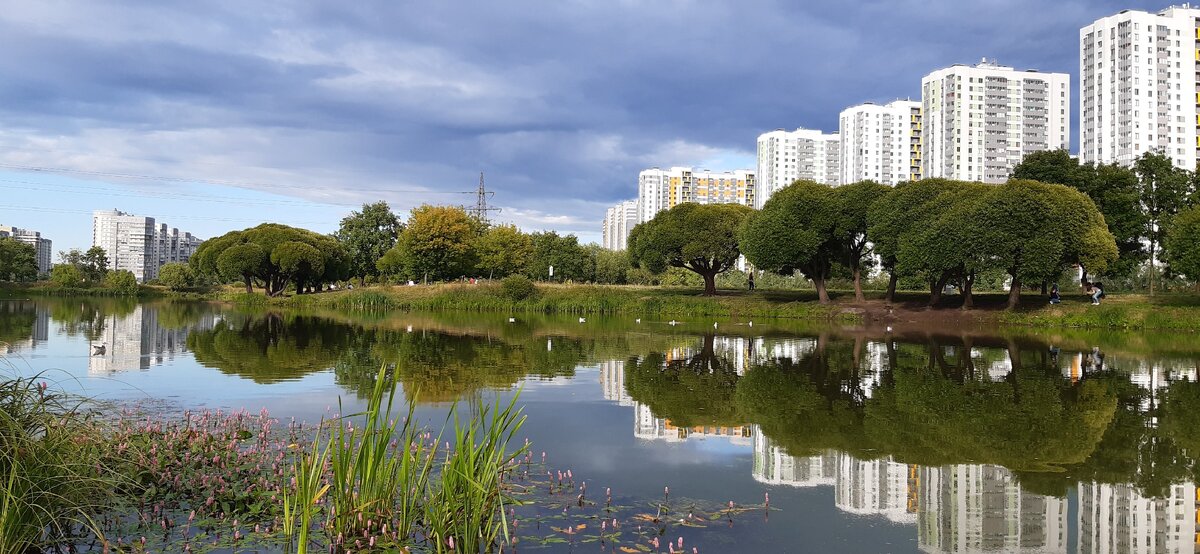 Начнём с зеркальных видов на ЖК "софия"  очень красивый и чистый парк 