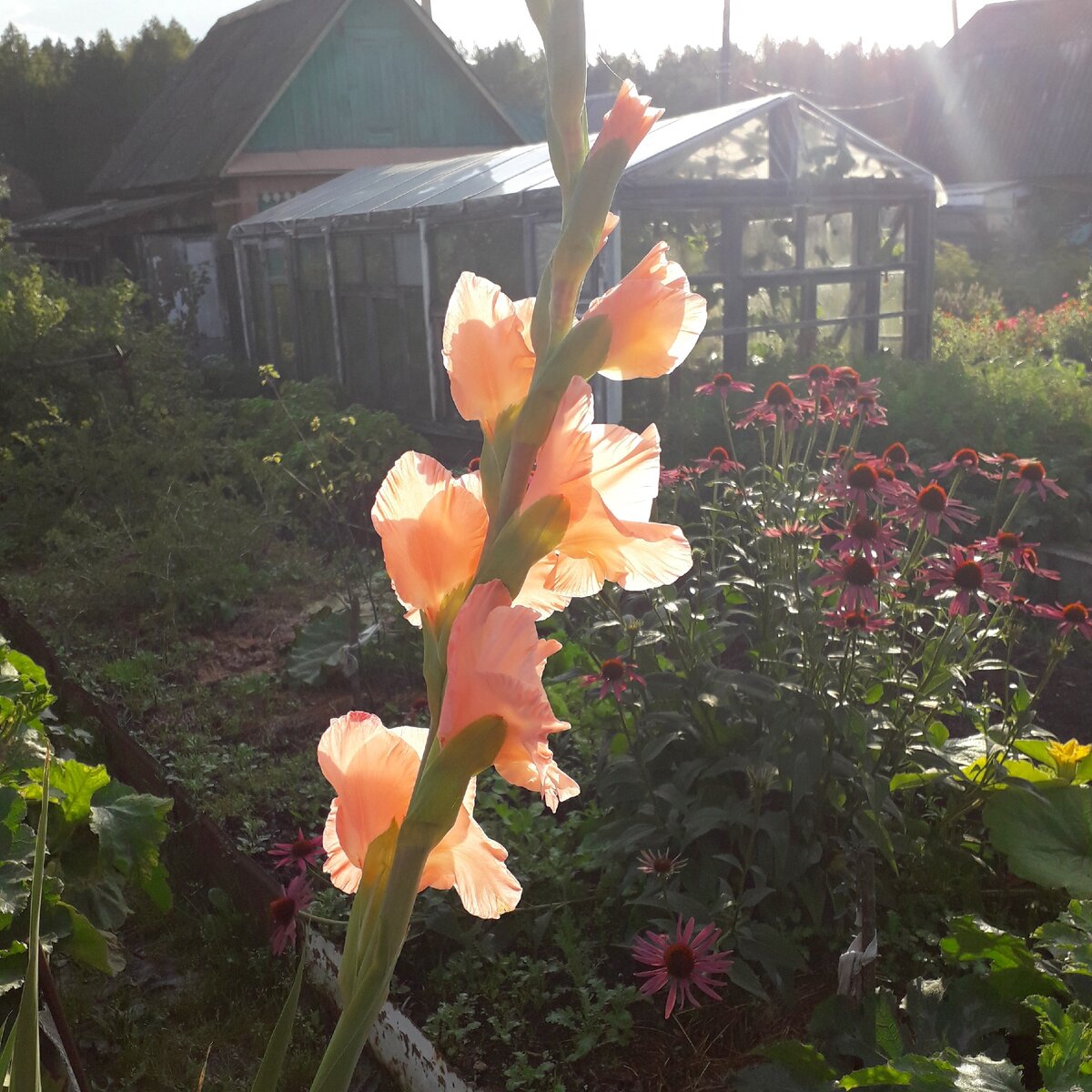 "Доброе утро, мир! Ты прекрасен!" Фото автора