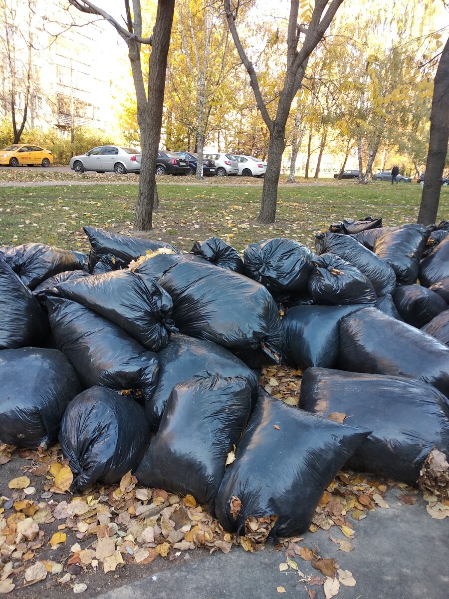 Уборка листвы в Москве