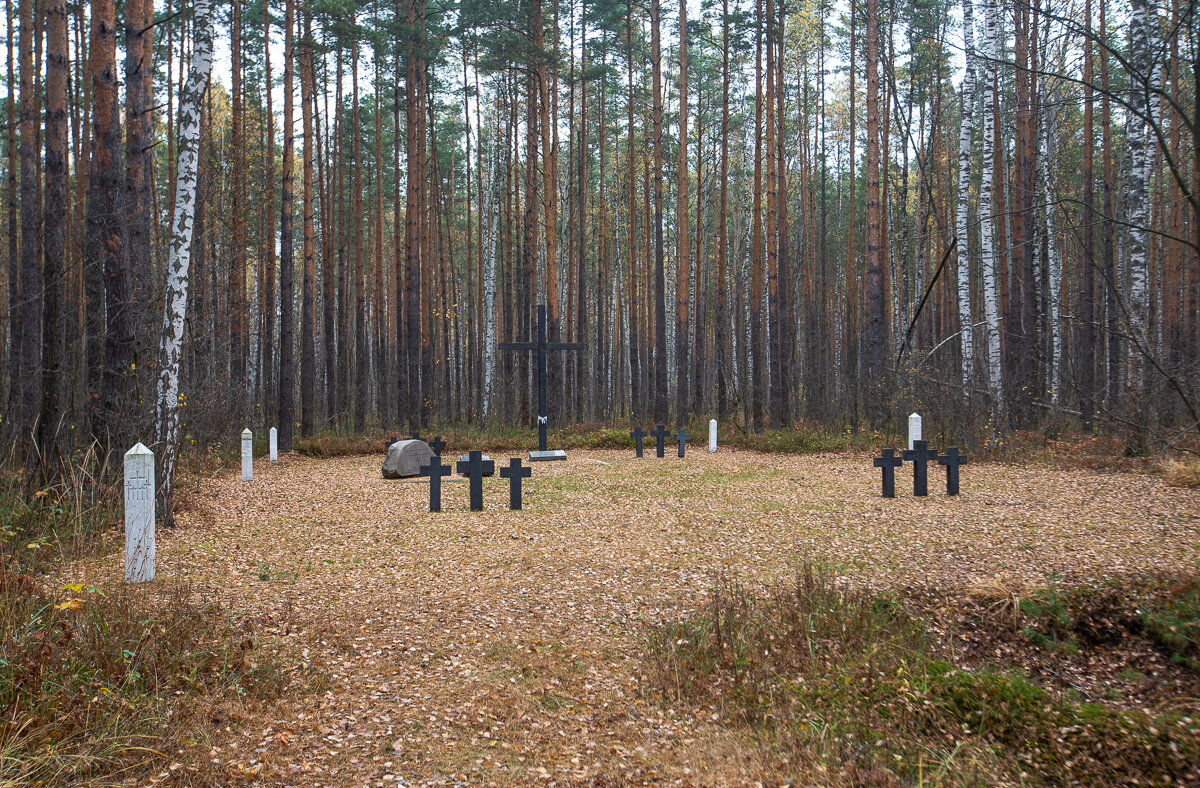Кладбище военнопленных. Туголесье, Московская область. Фото автора статьи 