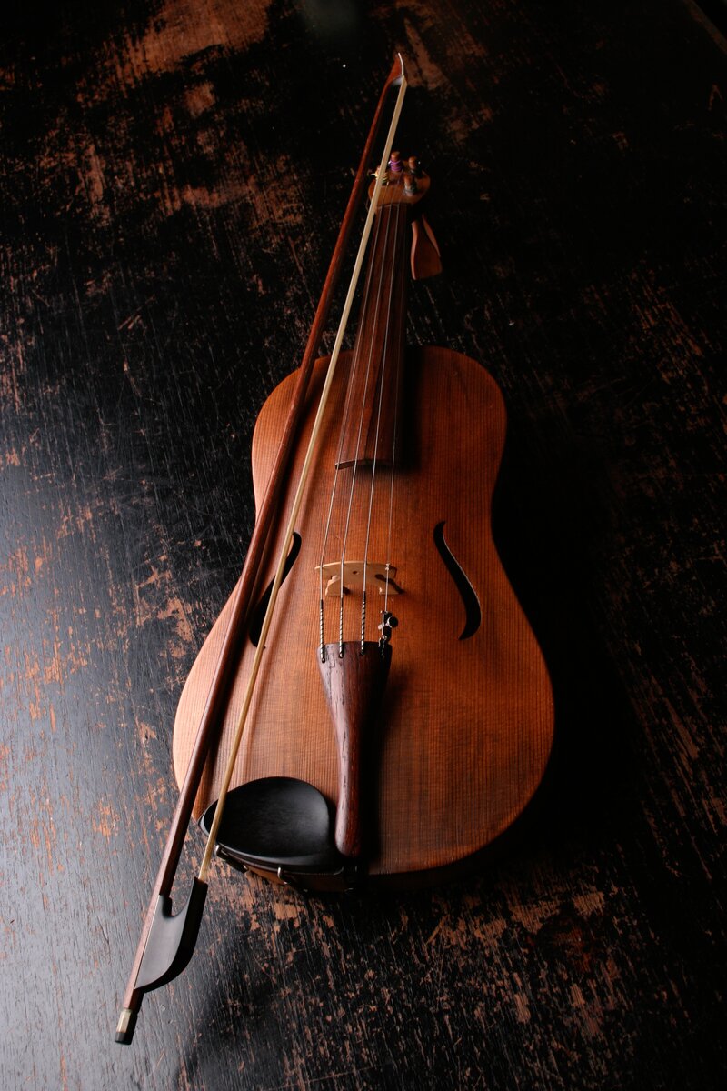 Контрабас - струнный щипковый музыкальный инструмент - фото, слушать