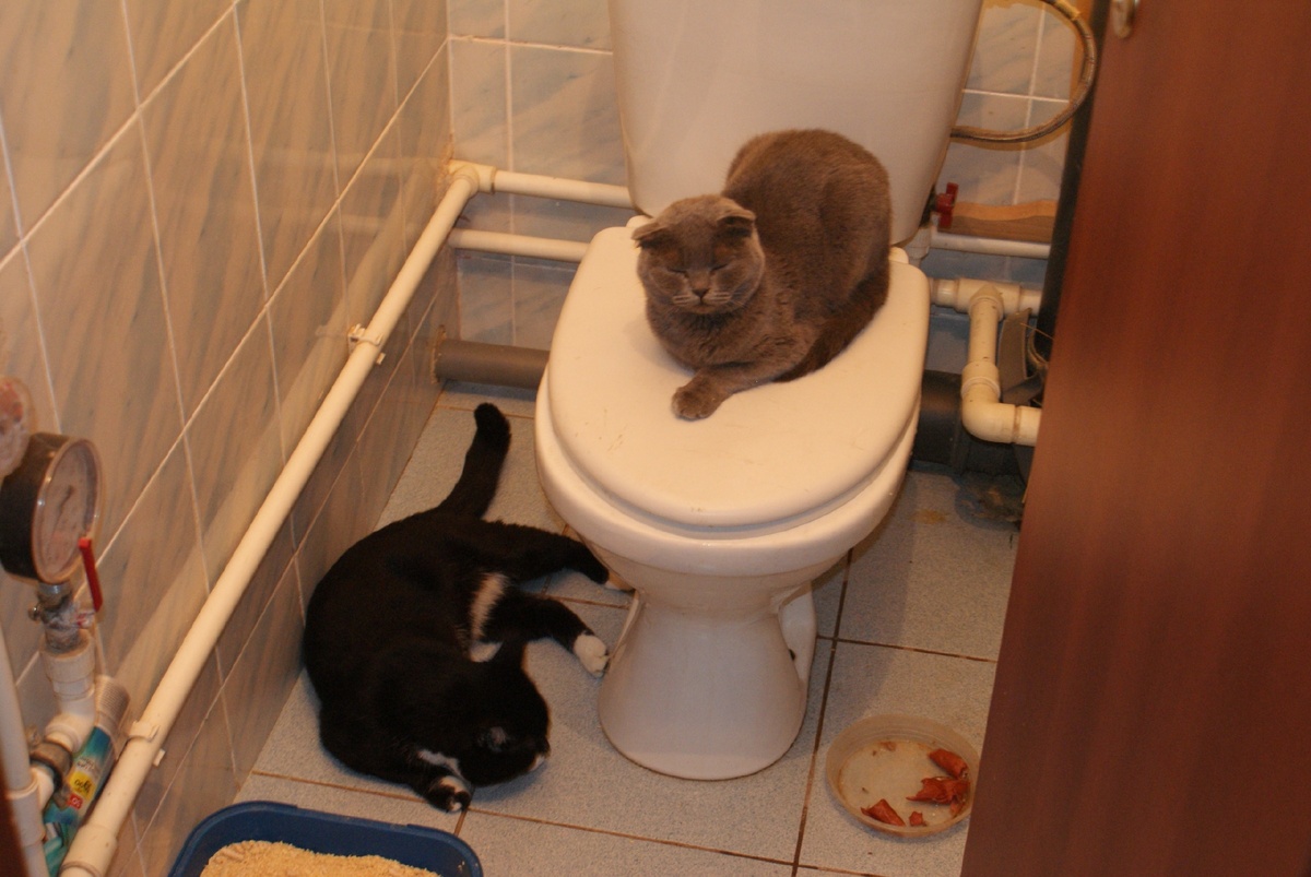 Я готов целовать песок по которую ты ходила... 