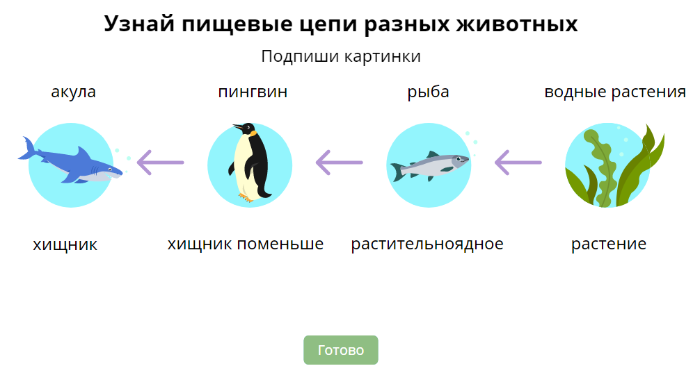 Правильный ответ.
