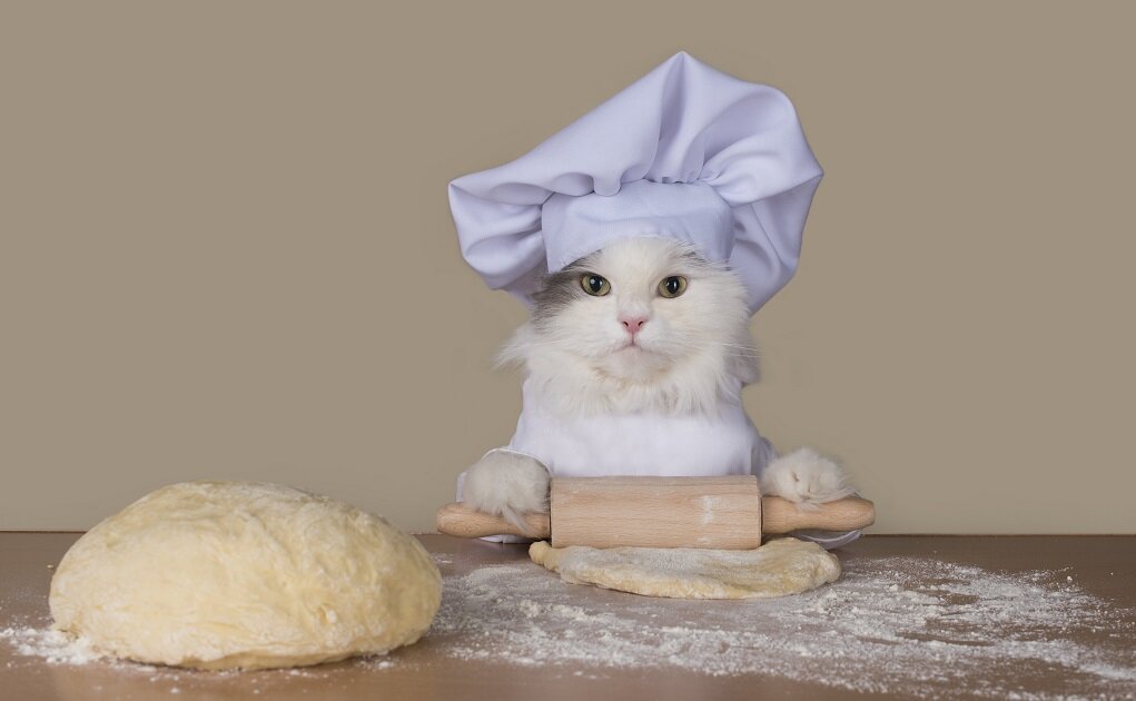 Для канала С.Пудовъ: Новогодняя Рождественская сказка для детей и взрослых о котенке во французской пекарне