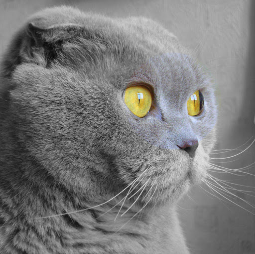 Подписывайтесь на канал!