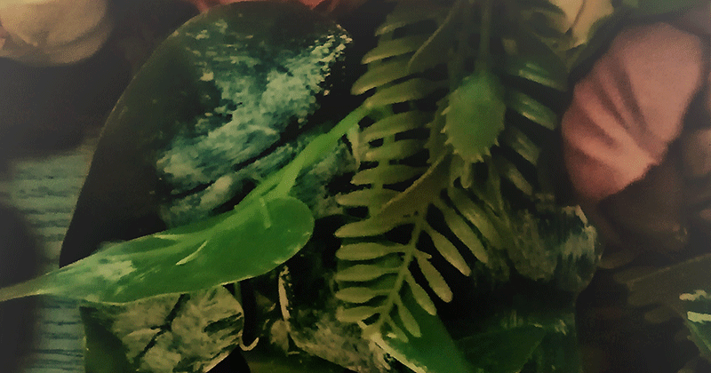                                                              Фото из личного архива.