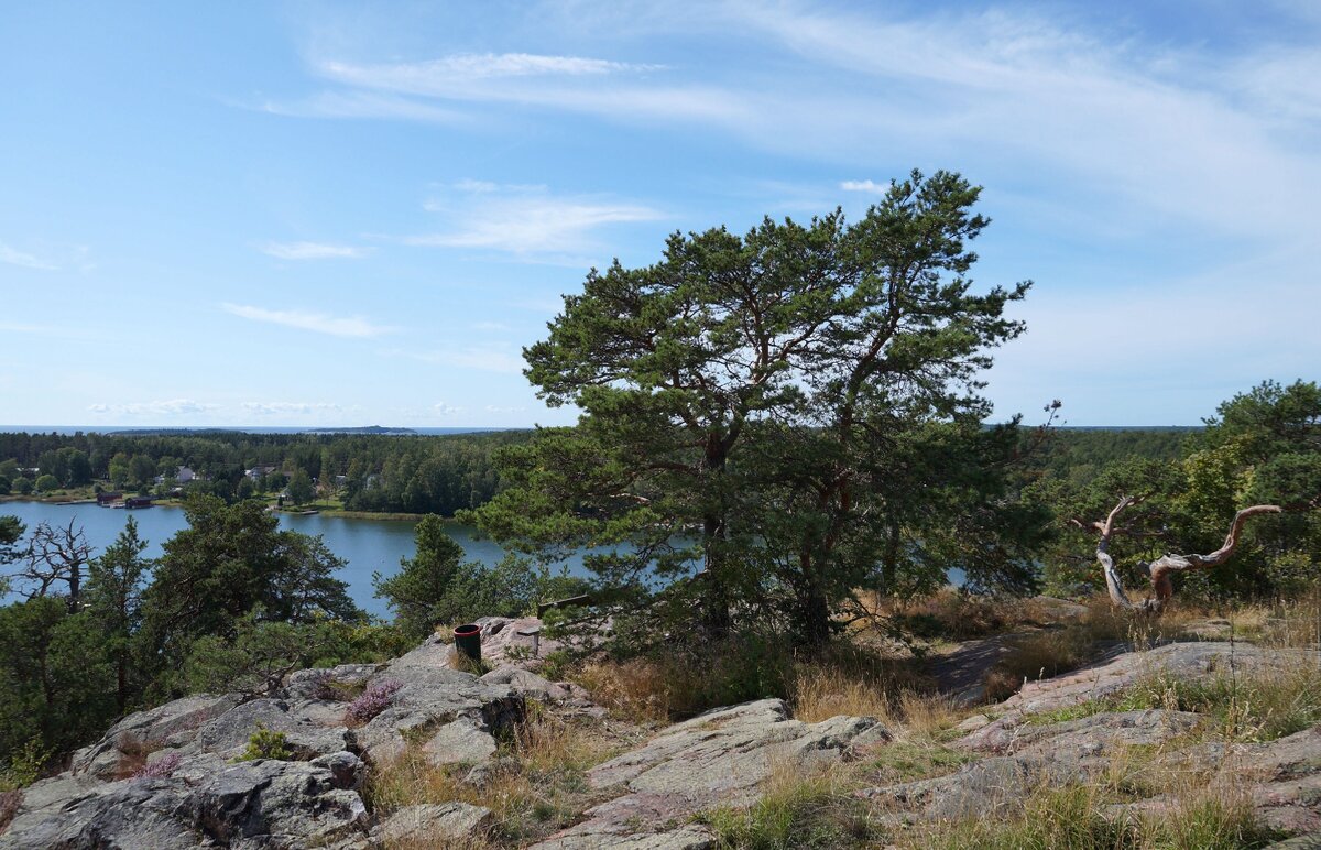 В парке Badhusparken