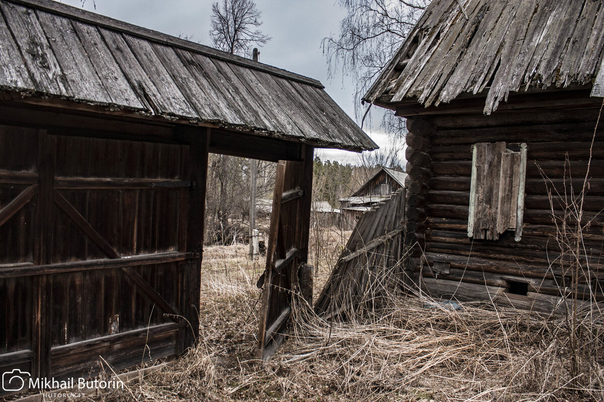 Ворота и часть двора.