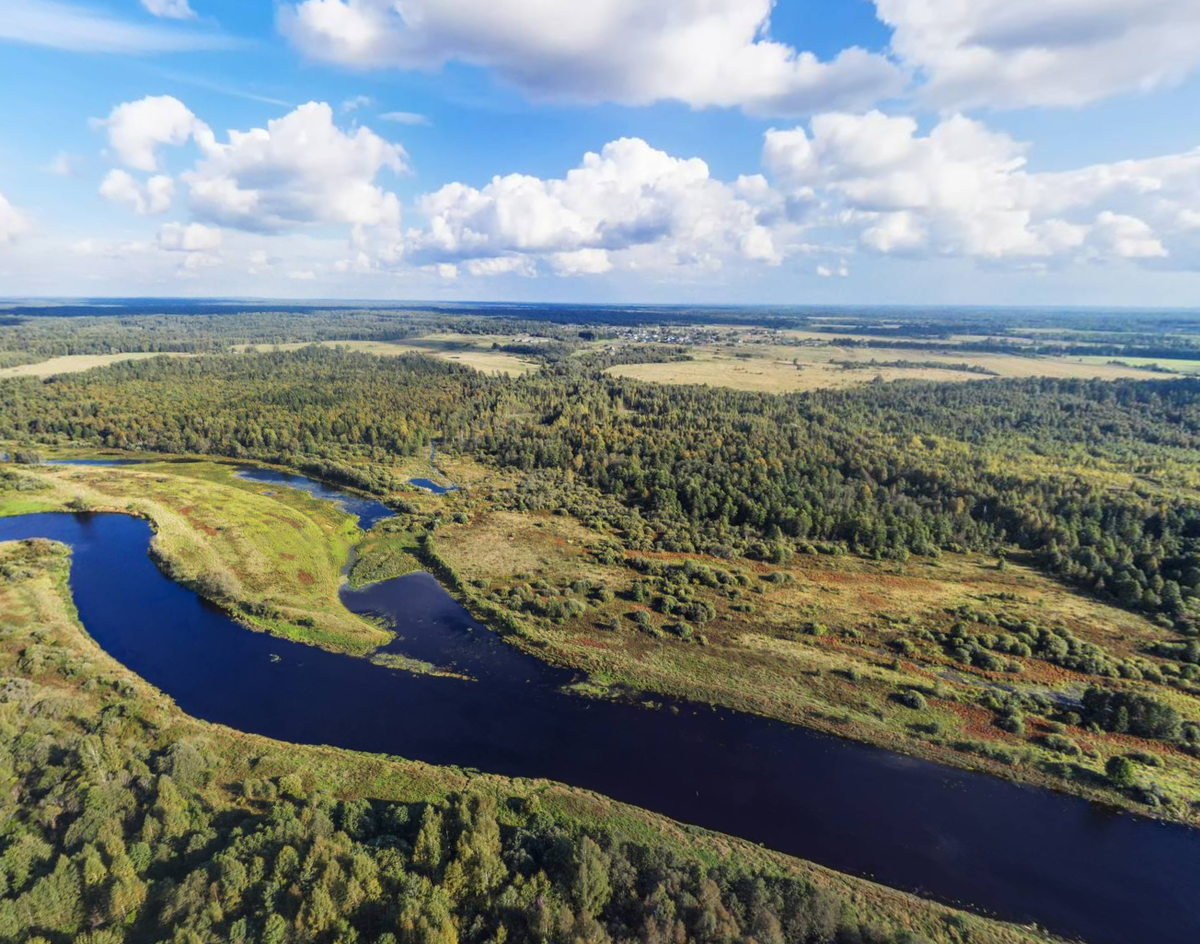 Река Молога, на горизонте виднеется Сидорково