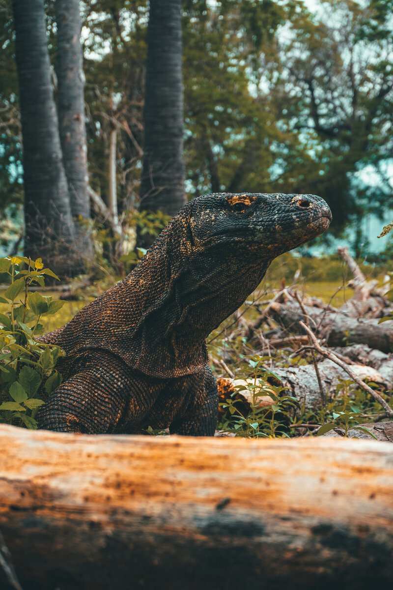  Фото автора Labskiii: Pexels