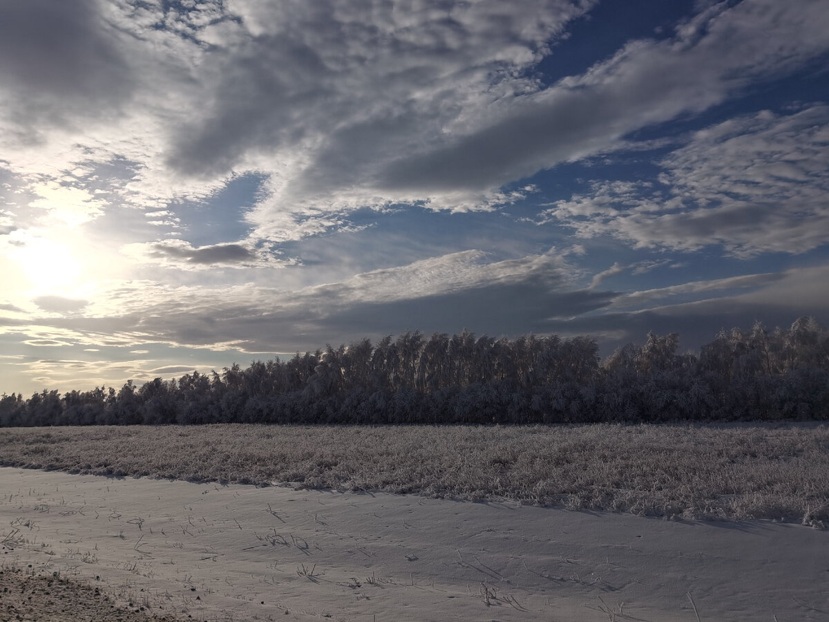 Фотография из фотоархиива Нагорного Алексея и Светлой Лилии