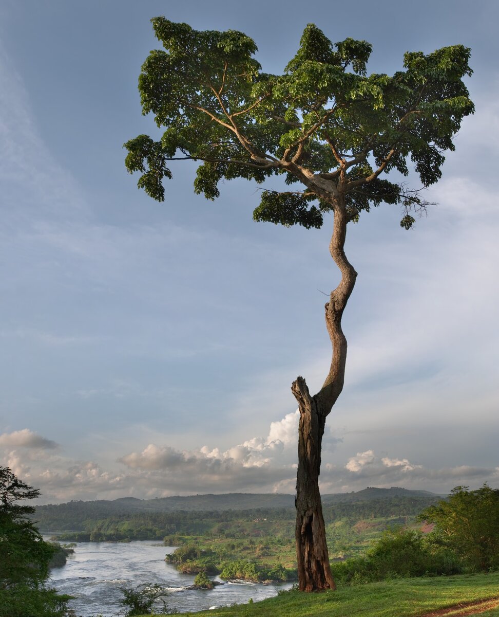 Миф или реальность? Теперь уже не узнаем. Фото: из открытых Интернет-источников