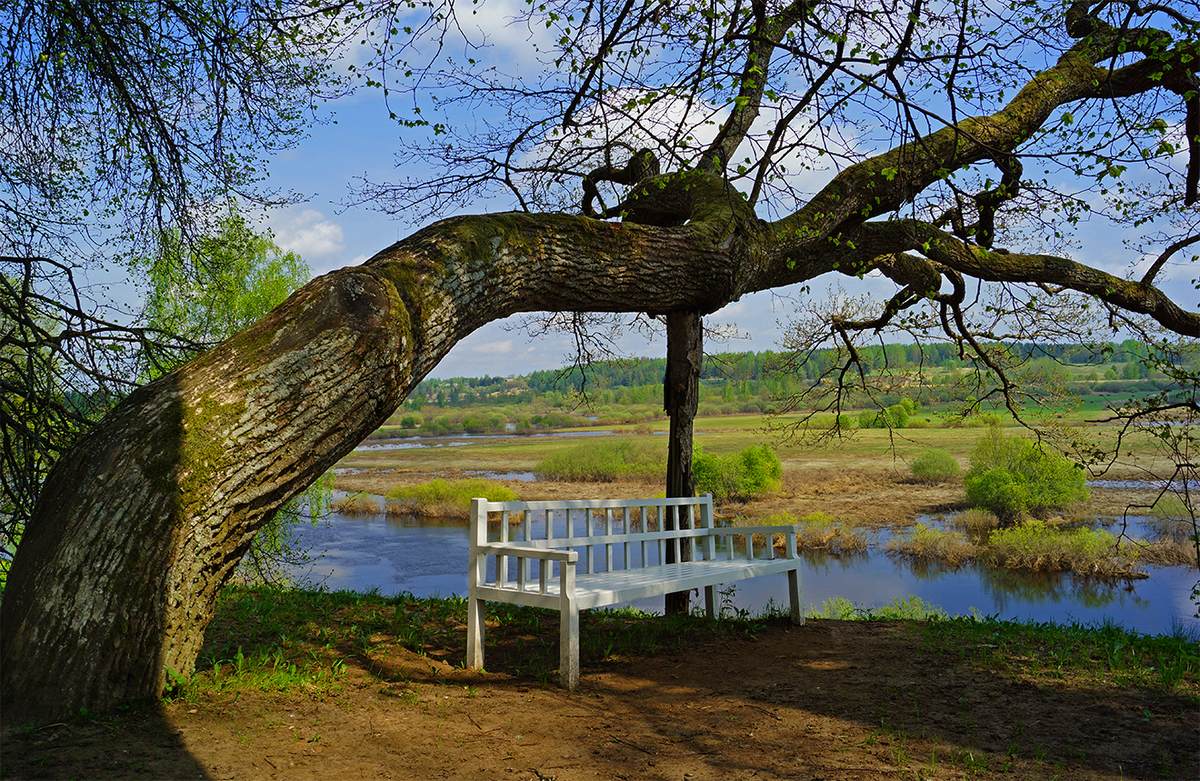 Пушкинские горы. Фото: https://yandex.ru/images