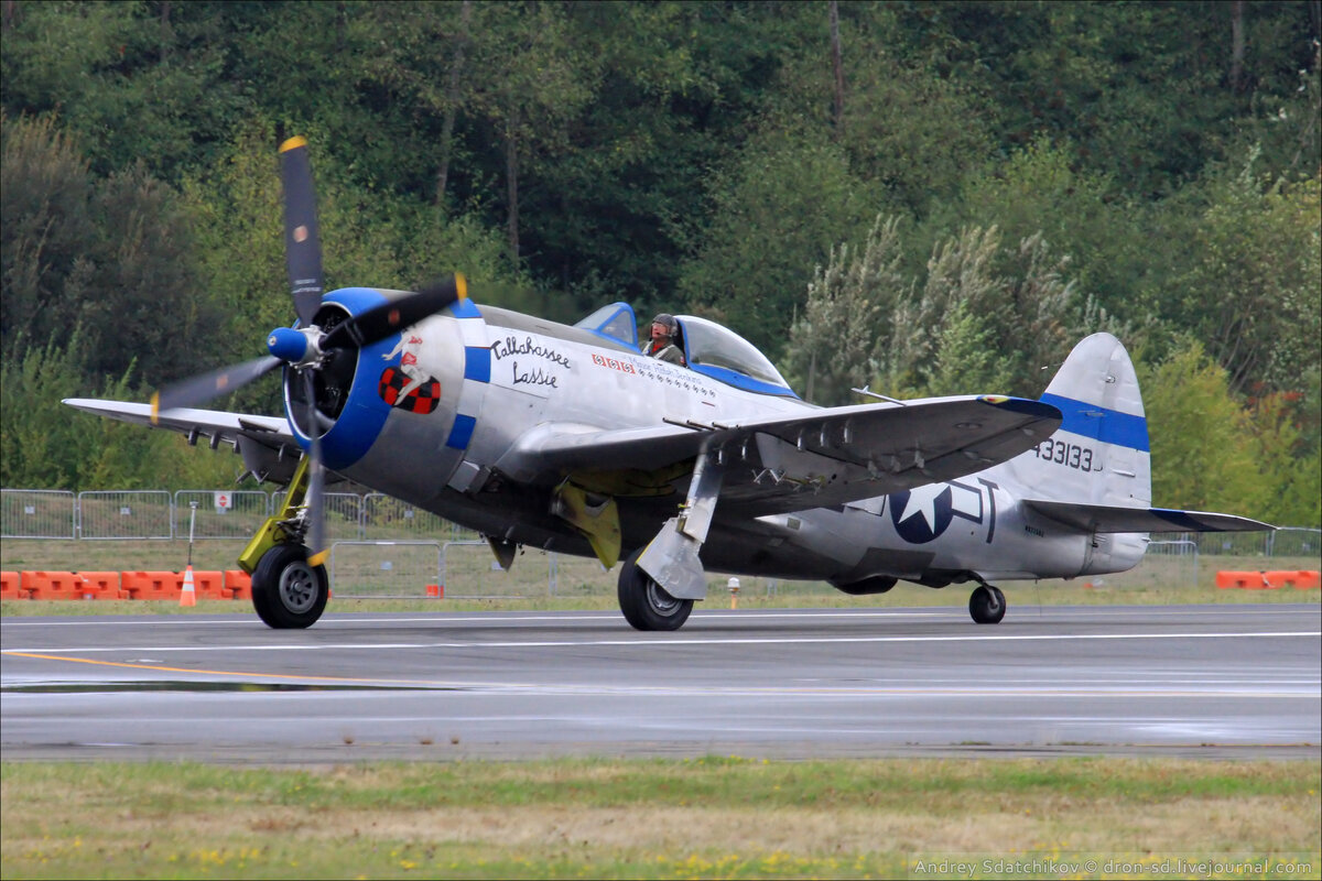 P-47D «Thunderbolt» музея авиации Flying Heritage & Combat Armor Museum в городе Эверетт, штат Вашингтон в США. 2016 год.
