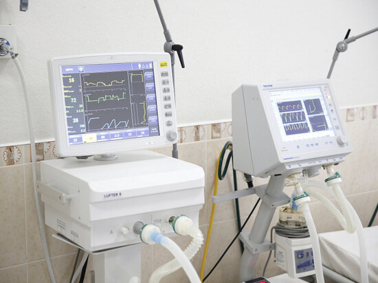     Фото: пресс-служба администрации Краснодарского края