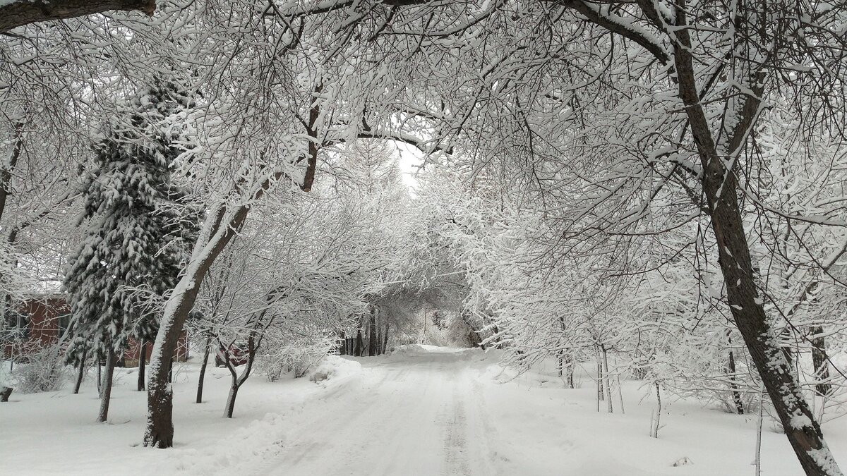 В этом году во многих регионах выпало большое количество снега, примените его с пользой
