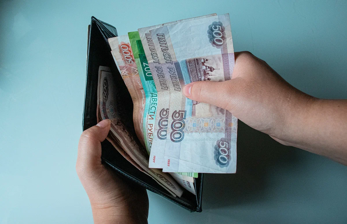 изображение: Freepik.com