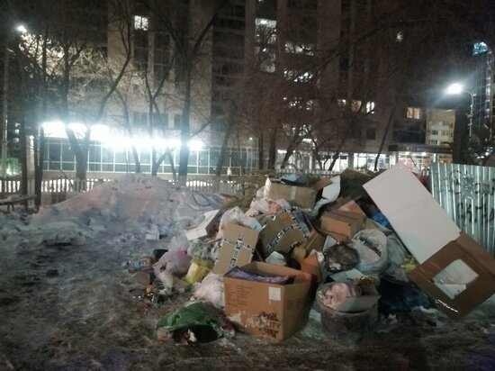     Куча замечена журналистом "МК в Оренбурге" во дворе на улице Краснознаменной / Елена Анифатьева