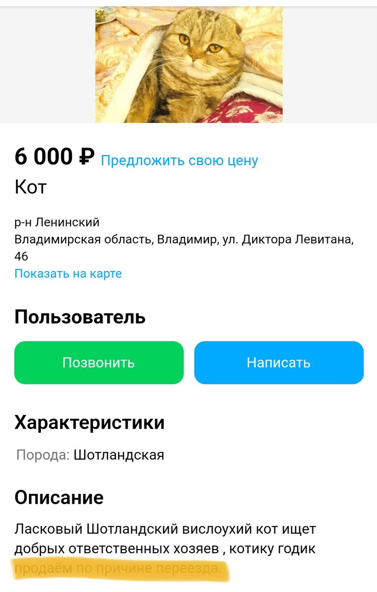 Таких объявлений было тысячи и есть до сих пор.